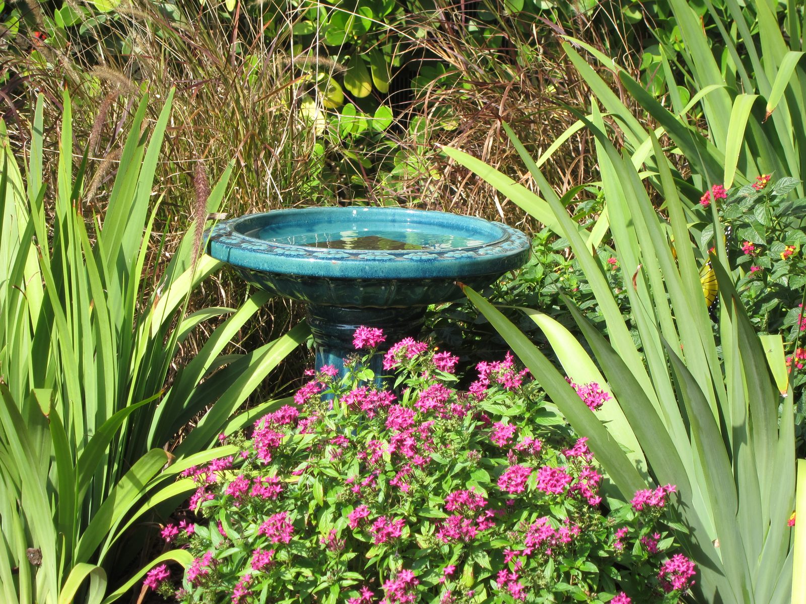 Bird bath nestled in the flowers